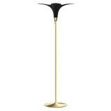 Jazz Champagne Floor Lamp: Black Oak + Brushed Brass
