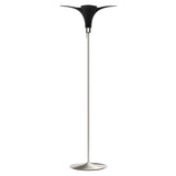 Jazz Champagne Floor Lamp: Black Oak + Brushed Steel