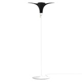 Jazz Champagne Floor Lamp: Black Oak + White