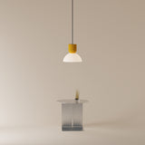 Buia Pendant Light