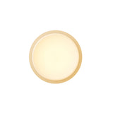 Copia Flush Mount: Frosted