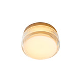 Copia Flush Mount: Simply Clear + Natural Anodized