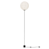 Cho Light: Large - 14.8