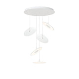 Circa Chandelier: Large - 16