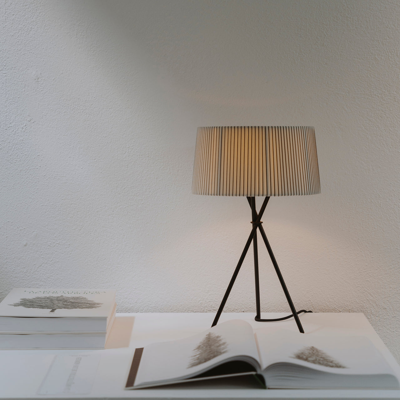 Trípode M3 Table Lamp