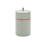 Colour Bin Storage Containers: Large - 8.8