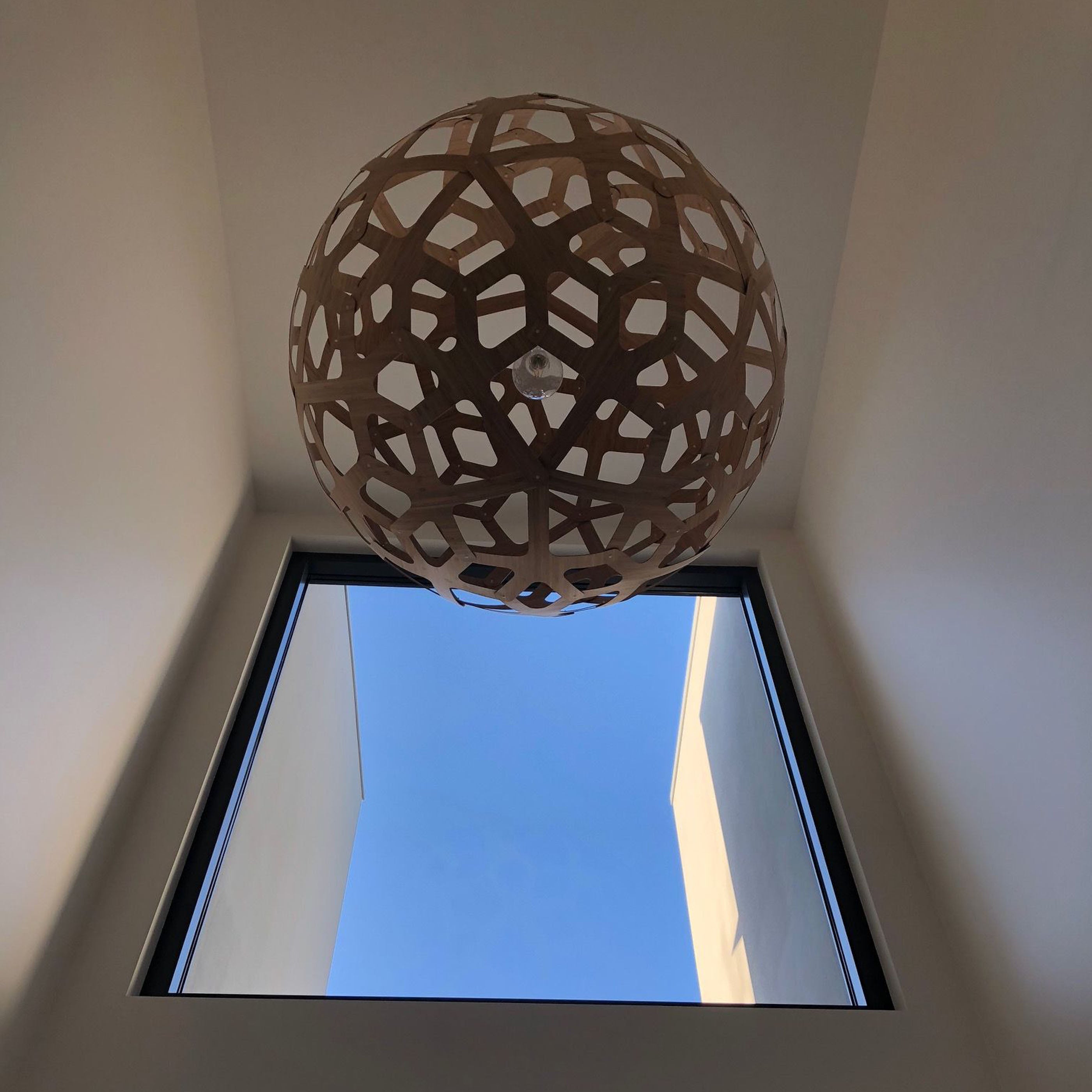 Coral Pendant Light: Extra Large + LS