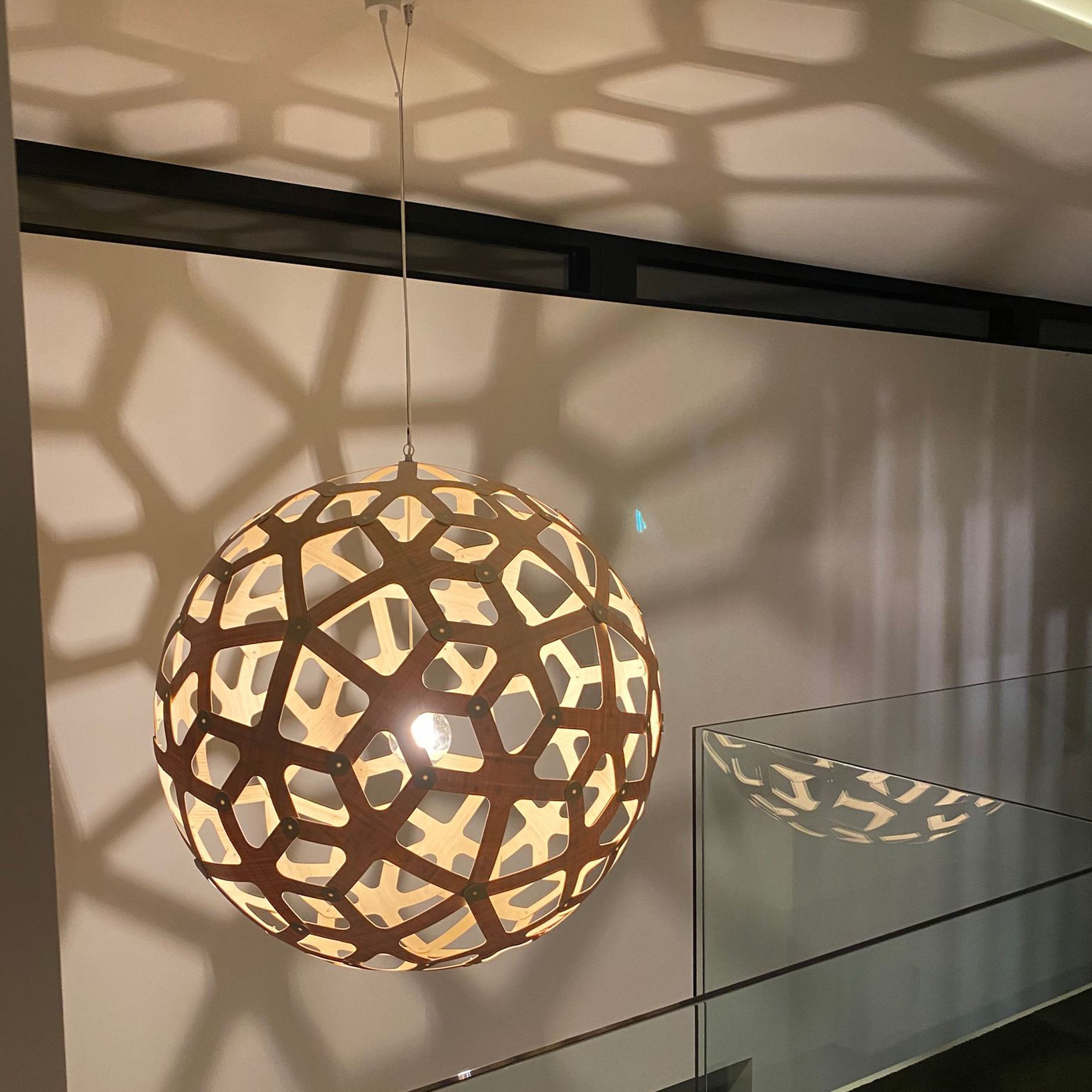 Coral Pendant Light: Extra Large + LS
