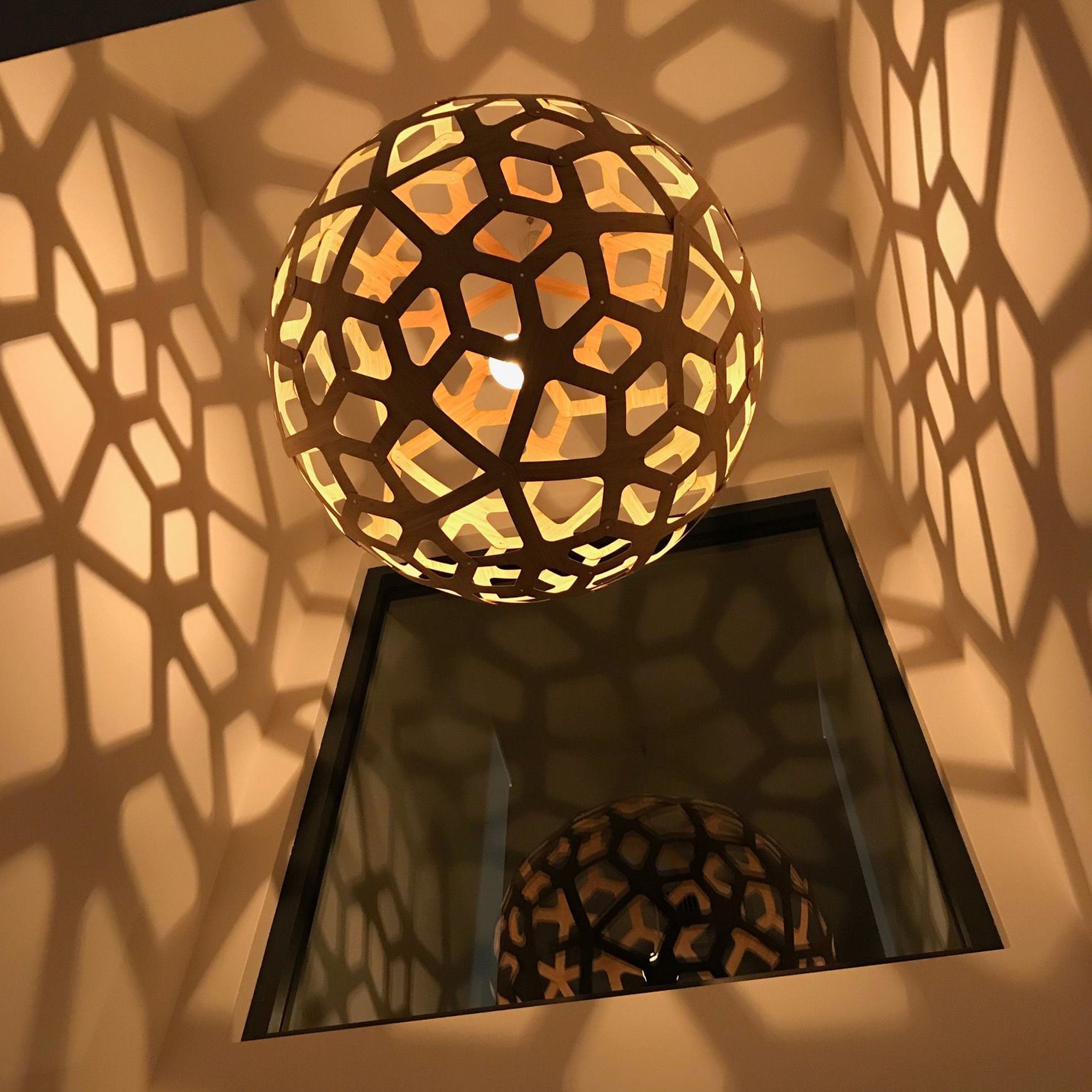 Coral Pendant Light: Large + LS
