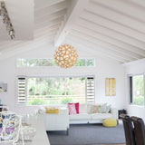 Coral Pendant Light: Large + LS