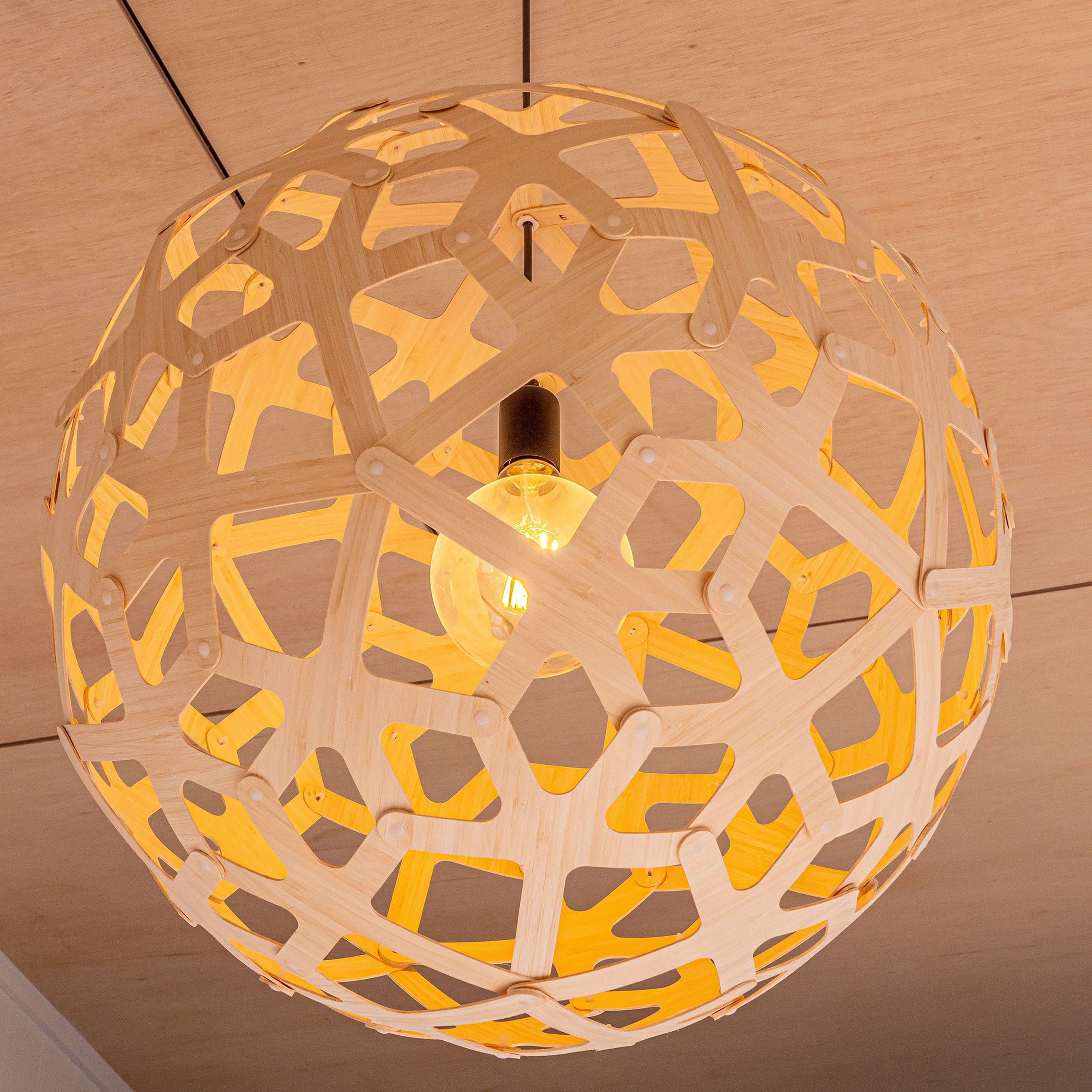 Coral Pendant Light: XX Large + LS