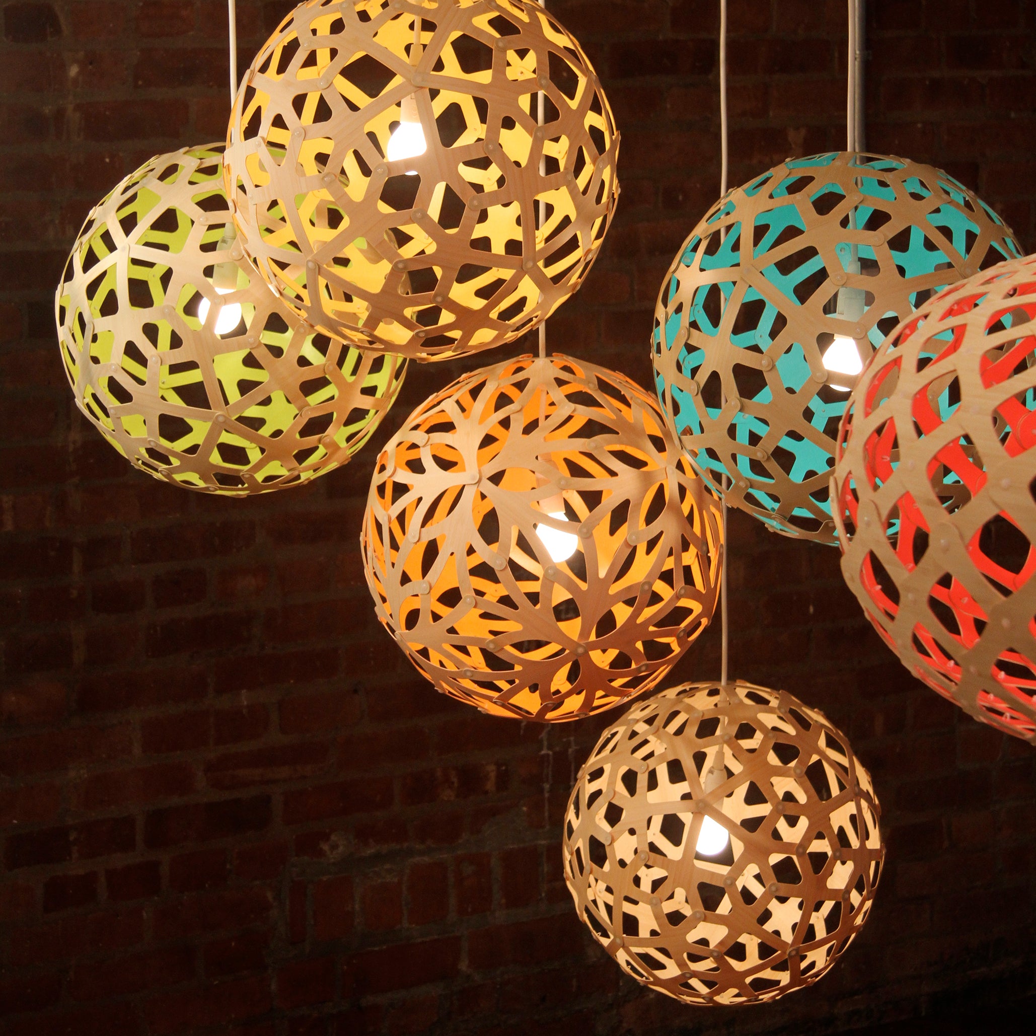 Coral Pendant Light: Medium + LS
