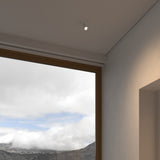 insitu