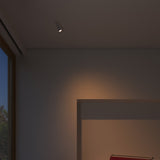 insitu