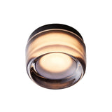 Dimple IP65 Flush Mount: Smoked + Black Anodized