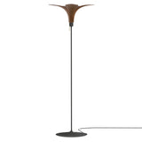 Jazz Champagne Floor Lamp: Dark Oak + White