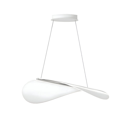 Diphy Pendant: Medium -  30