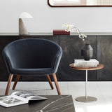 Ditzel Lounge Chair: LS