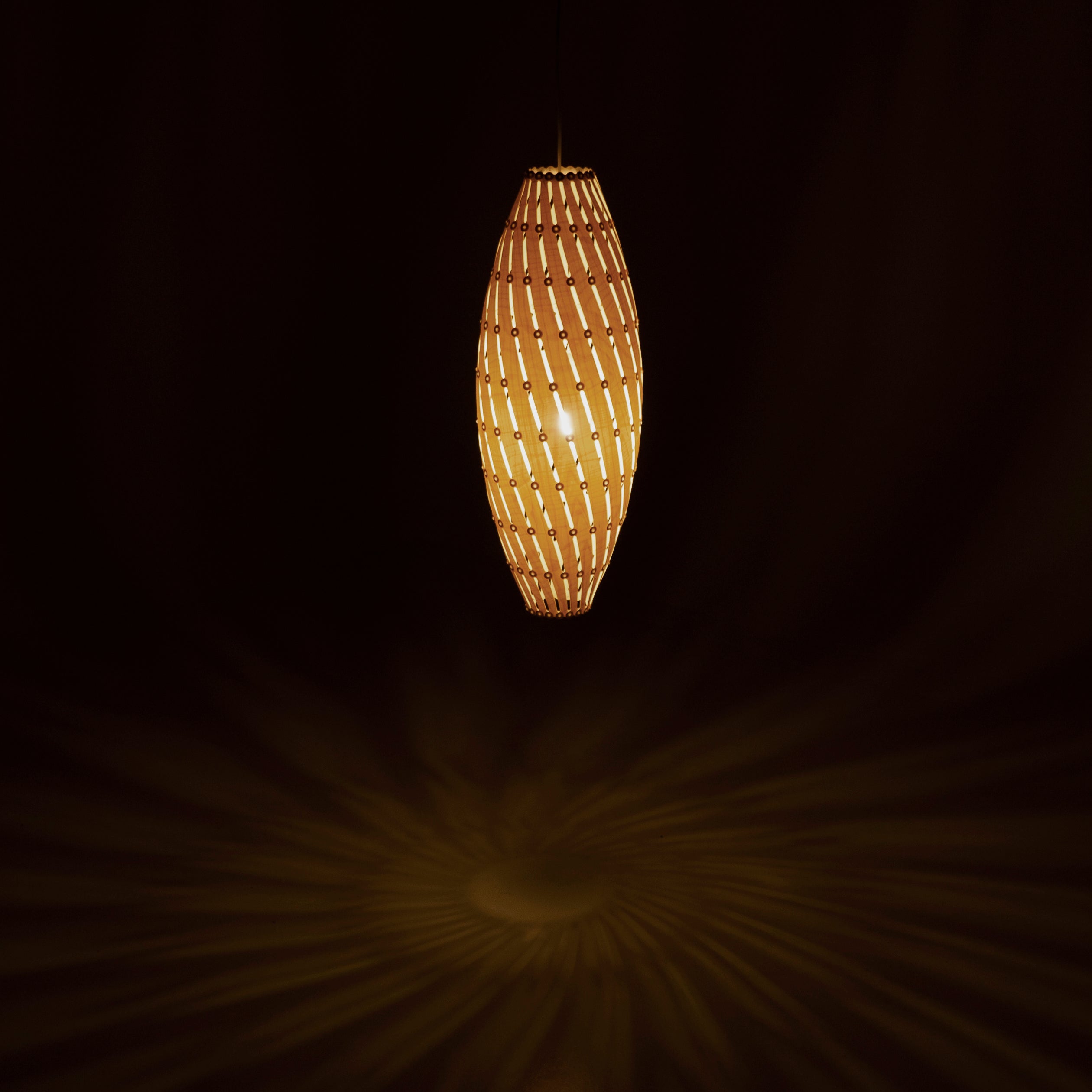 insitu