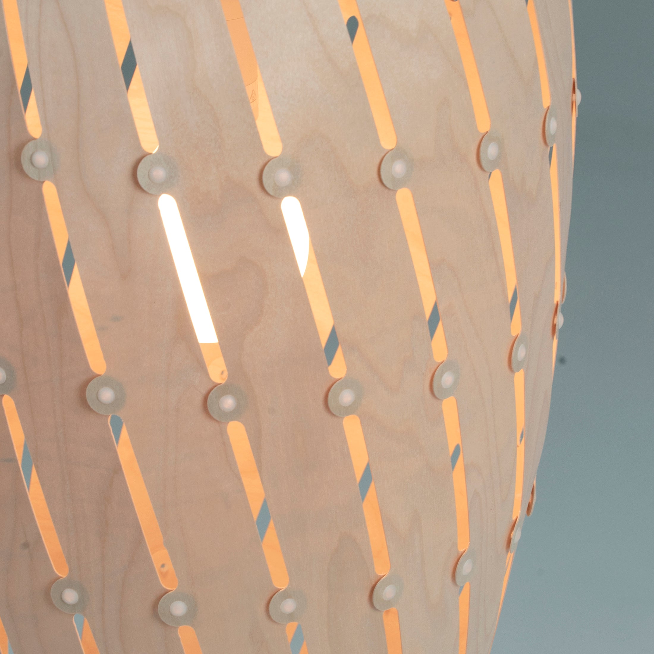 Ebb Pendant Series: Roll + DI