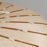 Ebb Pendant Series: Swell + DI