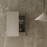 insitu