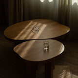 Farmhouse Pond Coffee Table: DI