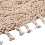 Amass Long Pile Rug