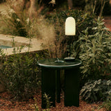 insitu