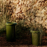 Rollo Pot