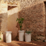 insitu
