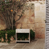 insitu