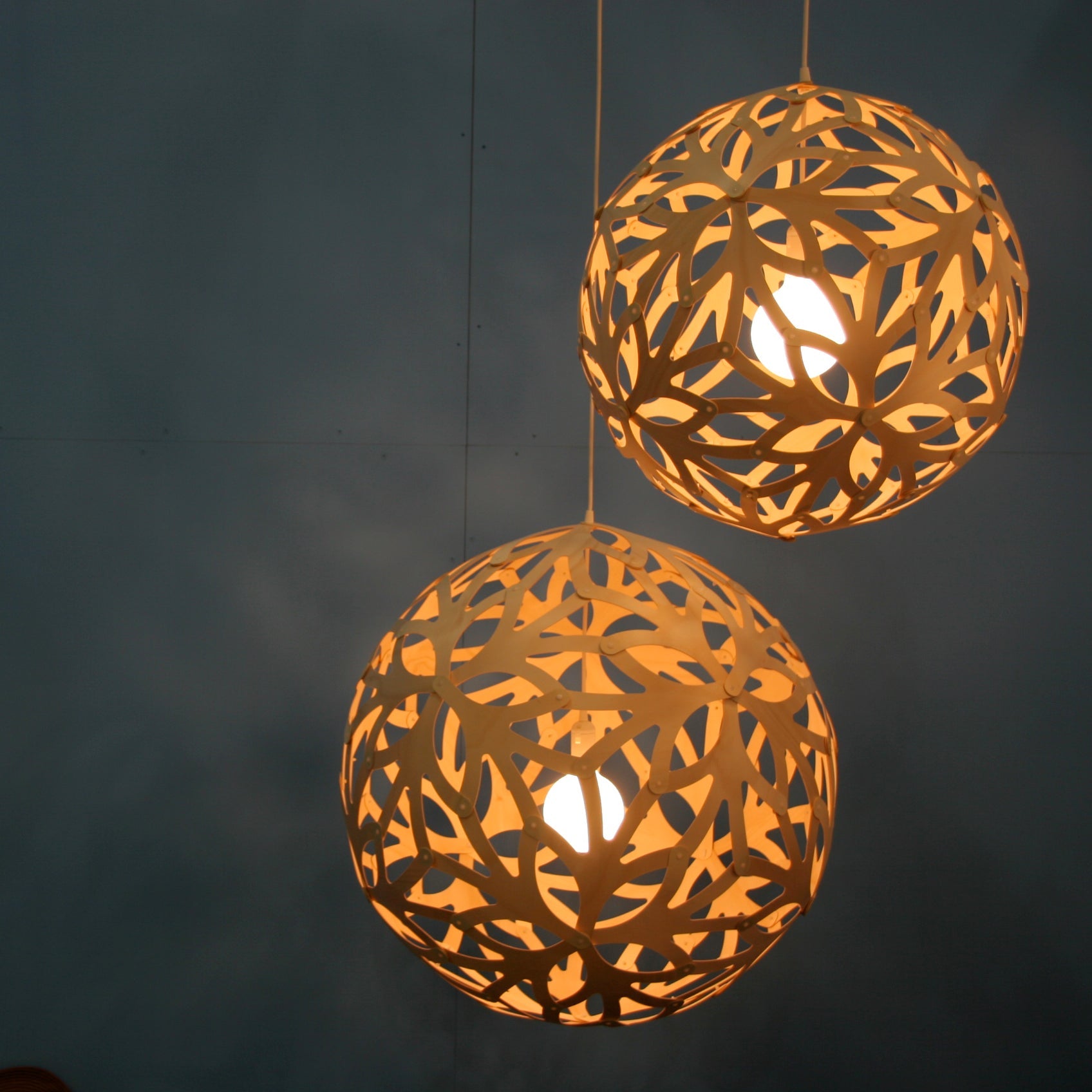 Floral Pendant Light: Small + LS