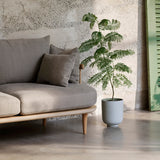 Fly Series Sofa: SC2 + DI
