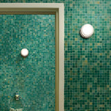 Fresnel Wall Lamp: Outdoor
