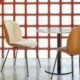 Beetle Dining Chair Conic Base: Veneer Shell + Front Upholstered