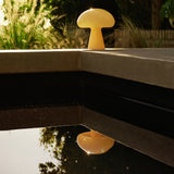 Obello Portable Lamp