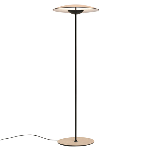 Ginger B Outdoor Floor Lamp: High - 43.7 + Rust Brown