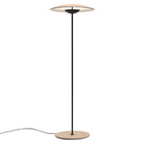 Ginger B Outdoor Floor Lamp: High - 43.7 + Rust Brown