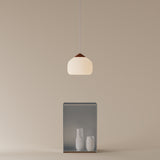 Goby Pendant Light: Large