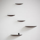 Gridy Fungi Shelf: Quick Ship
