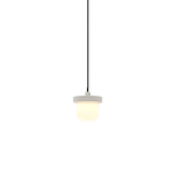 Hoist Pendant: Without Shade + Small - 4