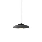 Hoist Pendant: With Medium Shade + Small - 4