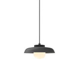 Hoist Pendant: With Medium Shade + Large - 6