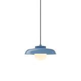 Hoist Pendant: With Medium Shade + Large - 6
