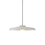 Hoist Pendant: With Large Shade + Small - 4