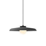 Hoist Pendant: With Large Shade + Large - 6