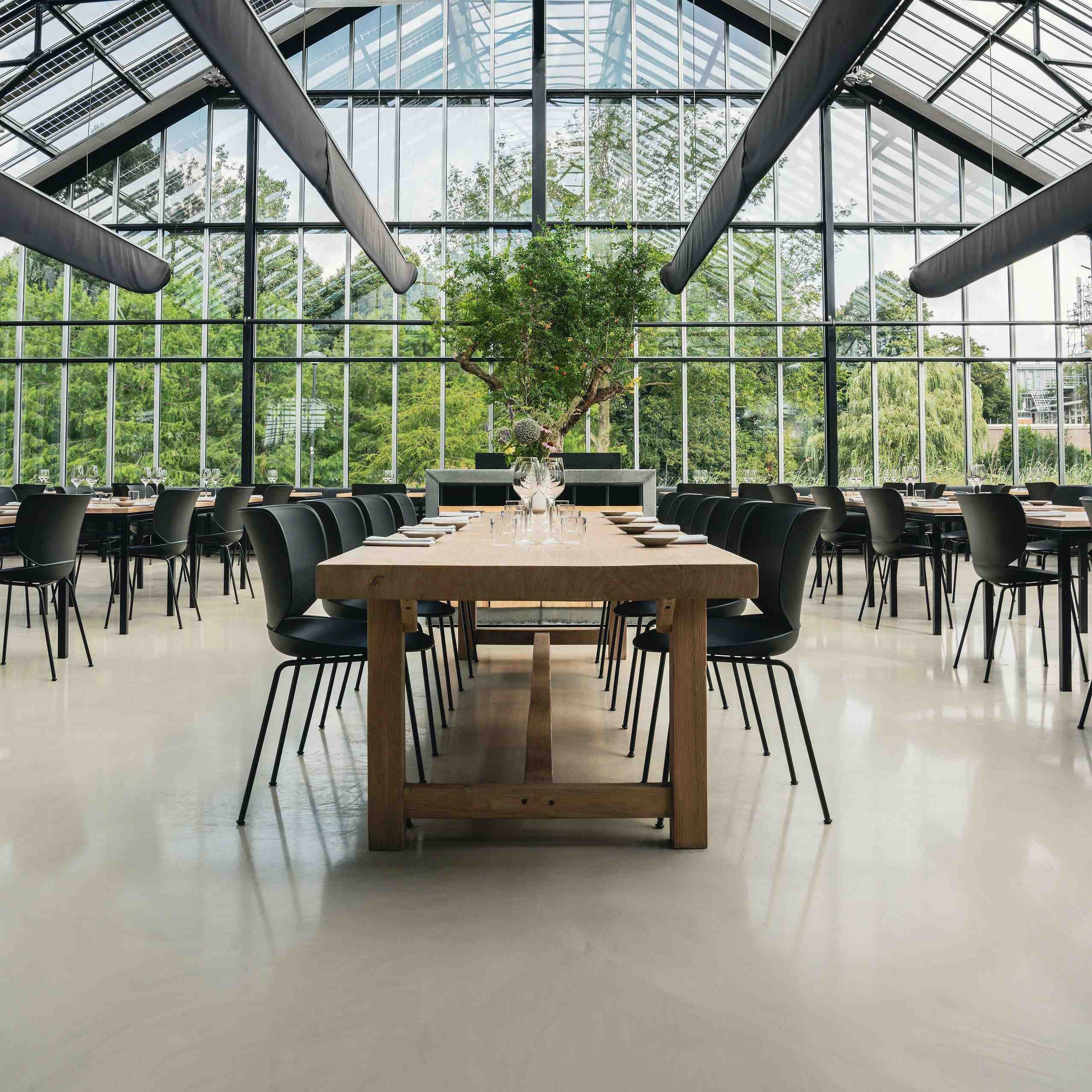 Hana Stacking Chair: LS