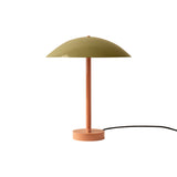 Arundel Table Lamp: Reed Green + Peach