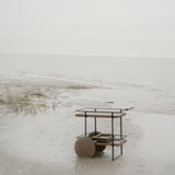 insitu